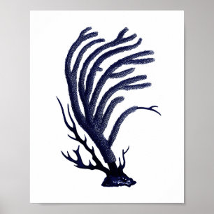 Sea Coral Navy Blue Coastal Wall Art Poster