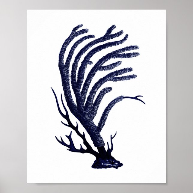 Sea Coral Navy Blue Coastal Wall Art Poster (Vorne)