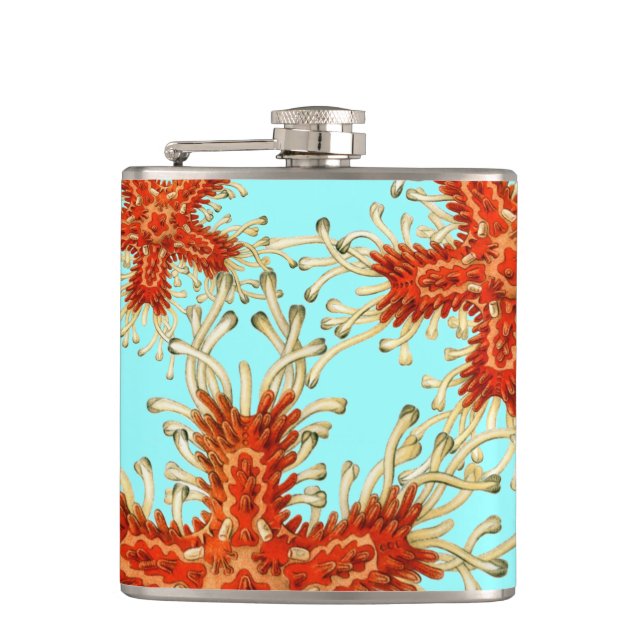 Sea Creature Star Anemones Ocean Science Hip Flask Flachmann (Vorderseite)
