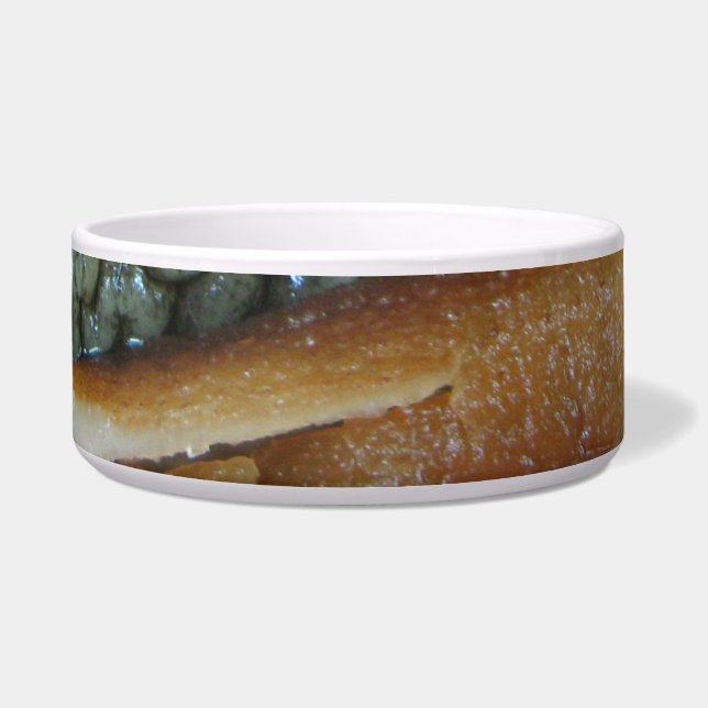 Sea Cucumber ... Yaowarat Market Food Napf (Vorderseite)