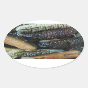 Sea Cucumber ... Yaowarat Market Food Ovaler Aufkleber