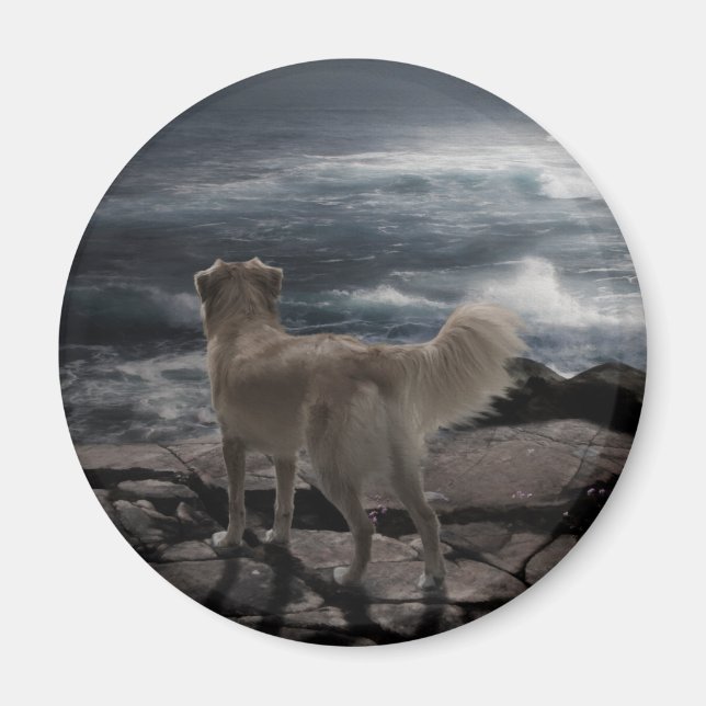 Sea Dog Magnet (Vorne)