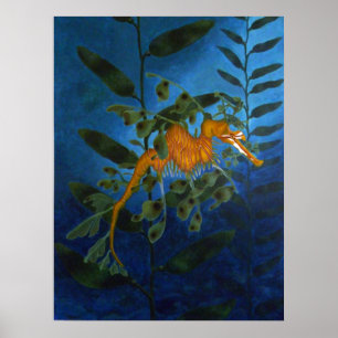 Sea Dragon Poster