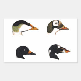 Sea Ducks Logo Rechteckiger Aufkleber