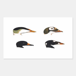 Sea Ducks Logo Rechteckiger Aufkleber