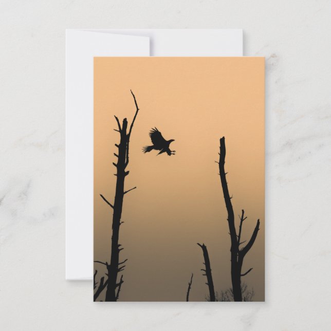 Sea-Eagle Wildlife Foto Karte (Vorderseite)