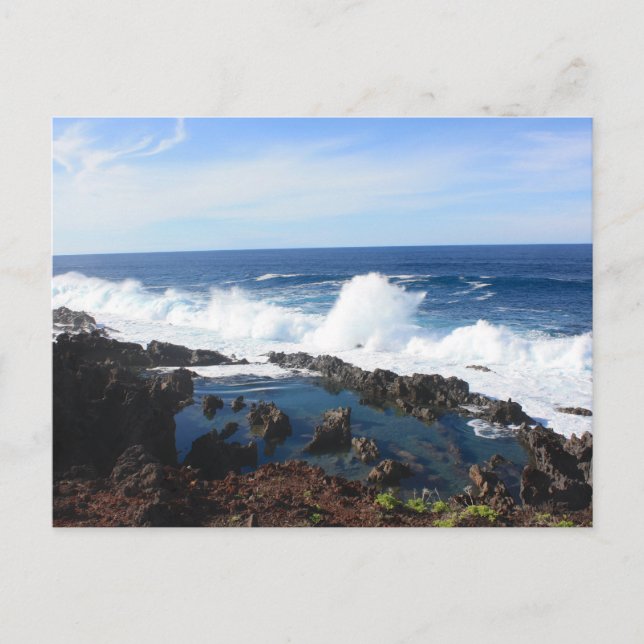 Sea Foam Beach Mist Coastal Destiny's Destiny Postkarte (Vorderseite)