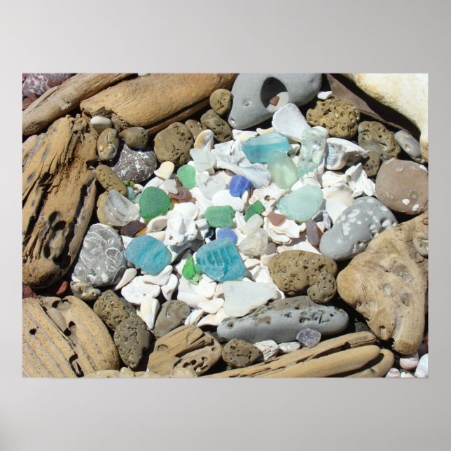 Sea Glass Plakate Beach Muscheln Fossilien Beach (Vorne)