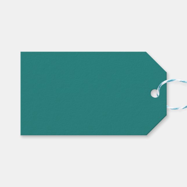 Sea Green Gift Tags Geschenkanhänger (Vorderseite (Horizontal))