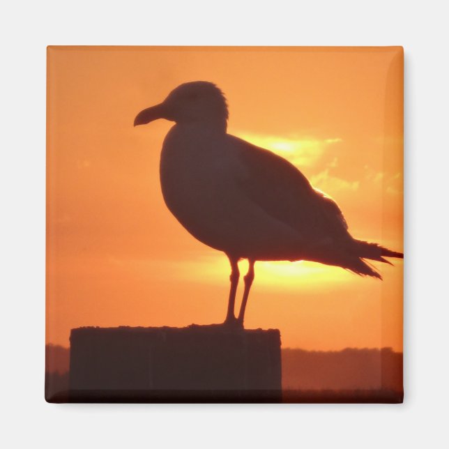 Sea Gull bei Sonnenuntergang Magnet (Vorne)