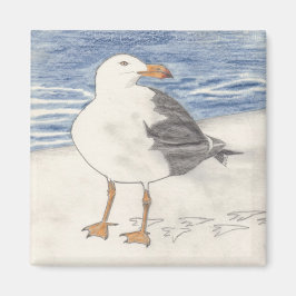 SEA GULL-Magnet (Quadrat) Magnet