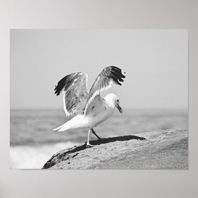 Sea Gull on Beach Rocks Schwarz-Weiß-Print Poster (Vorne)