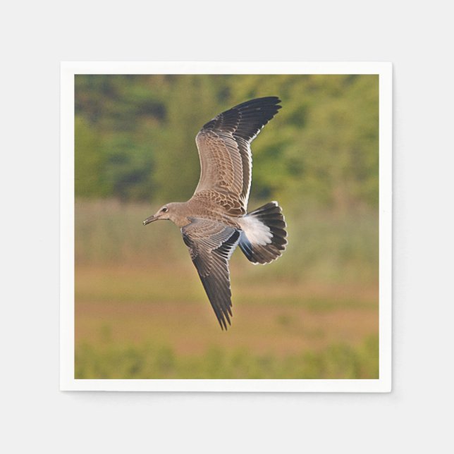 Sea Gull Paper Napkin Serviette (Vorderseite)