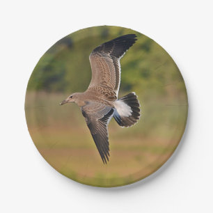 Sea Gull Paper Plate Pappteller