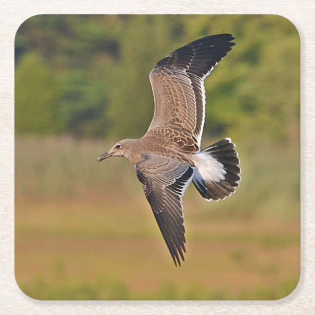Sea Gull Party Untersetzer (Vorderseite)