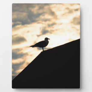 Sea Gull Sunset Fotoplatte