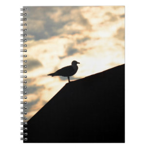 Sea Gull Sunset Notizblock