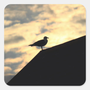 Sea Gull Sunset Quadratischer Aufkleber