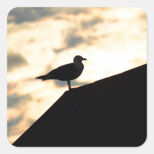 Sea Gull Sunset Quadratischer Aufkleber