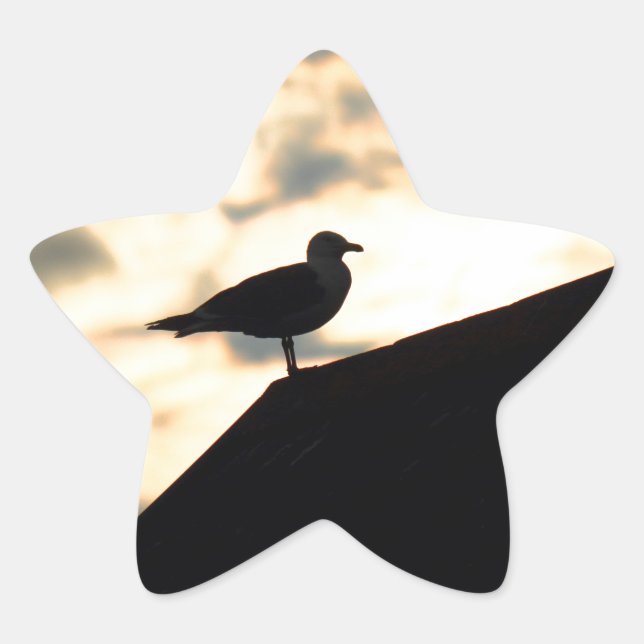 Sea Gull Sunset Stern-Aufkleber (Vorderseite)