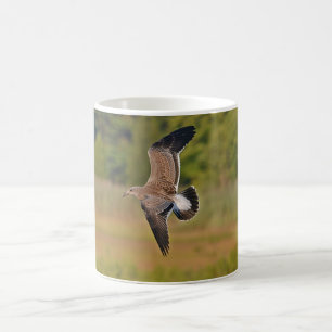 Sea Gull-Tasse Tasse