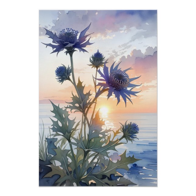 Sea Holly Poster (Vorderseite)