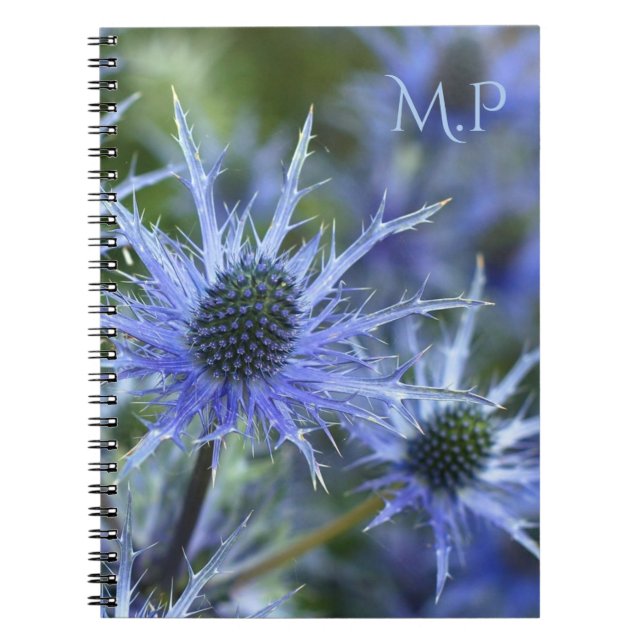 Sea Holly Thistle Monogram Notizblock (Vorderseite)