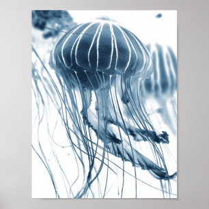 SEA JELLYFISH FOTOGRAFISCHER POSTER