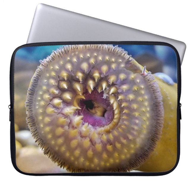 Sea Lamprey Mouth Laptopschutzhülle (Vorderseite)
