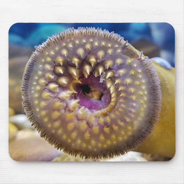 Sea Lamprey Mouth Mousepad (Vorne)