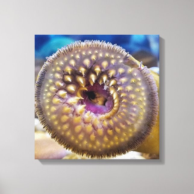 Sea Lamprey Mouth Poster Leinwanddruck (Vorderseite)