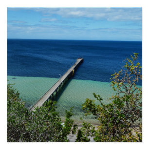 Sea Life Bird View, Glossy Poster