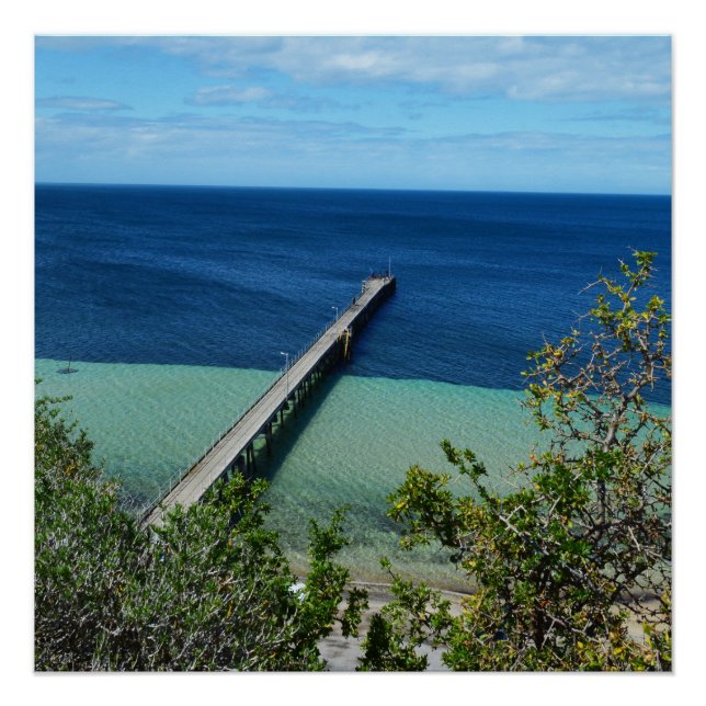 Sea Life Bird View, Glossy Poster (Vorderseite)