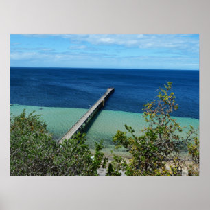 Sea Life Bird View Poster