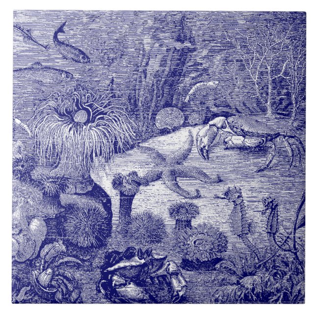 Sea Life Blue & White Fliese (Vorderseite)