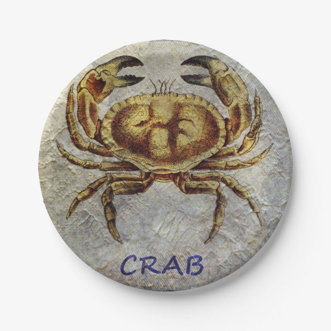Sea Life Crab auf Blue and Cream Pappteller (Vorderseite)