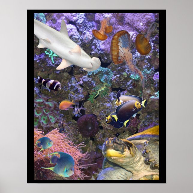 Sea Life Poster (Vorne)