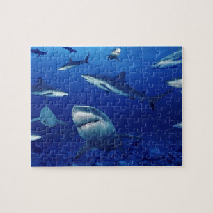 Sea Life Puzzle-Sharks Puzzle