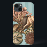 Sea Life Silhouette Case-Mate iPhone Hülle<br><div class="desc">Dieser Kunstdruck zeigt die schönsten Dinge in der Natur des Ozeans. Auf diesem Bild finden Sie alle Arten von Meereslebewesen,  darunter eine Conch Seashell,  Sand Dollars und Riffe,  die tief im Meer vergraben sind. Diese Kunstsammlung ist ein Muss für Ihre nächsten Zazzle-Produkte.</div>