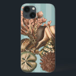 Sea Life Silhouette Case-Mate iPhone Hülle<br><div class="desc">Dieser Kunstdruck zeigt die schönsten Dinge in der Natur des Ozeans. Auf diesem Bild finden Sie alle Arten von Meereslebewesen,  darunter eine Conch Seashell,  Sand Dollars und Riffe,  die tief im Meer vergraben sind. Diese Kunstsammlung ist ein Muss für Ihre nächsten Zazzle-Produkte.</div>