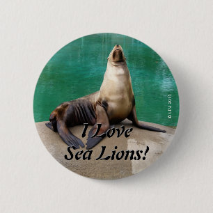 Sea Lion Button