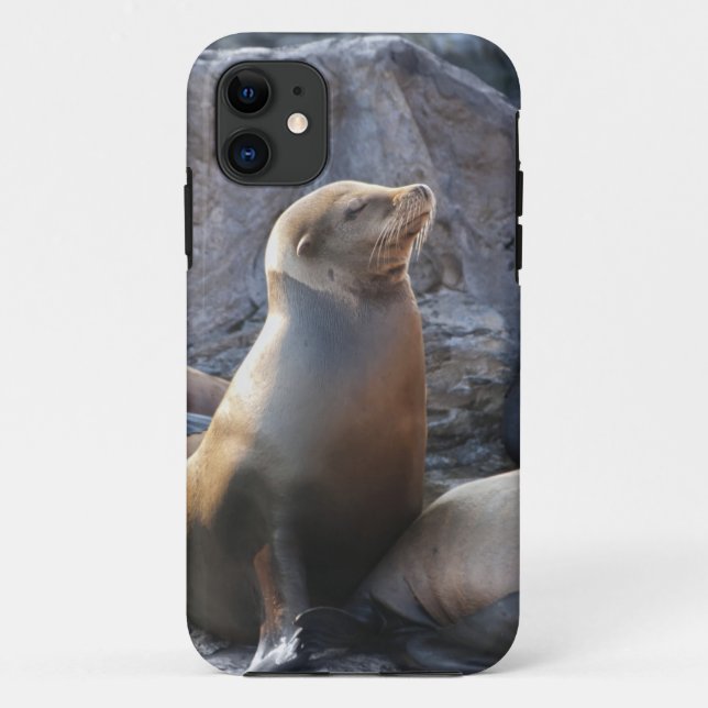 Sea Lion Case-Mate iPhone Hülle (Rückseite)