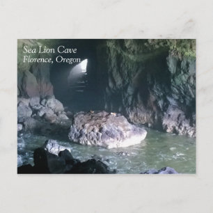 Sea Lion Cave, OR Postkarte