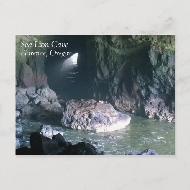Sea Lion Cave, OR Postkarte (Vorderseite)