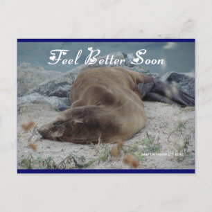Sea Lion - Feeling Better bald - Postkarte