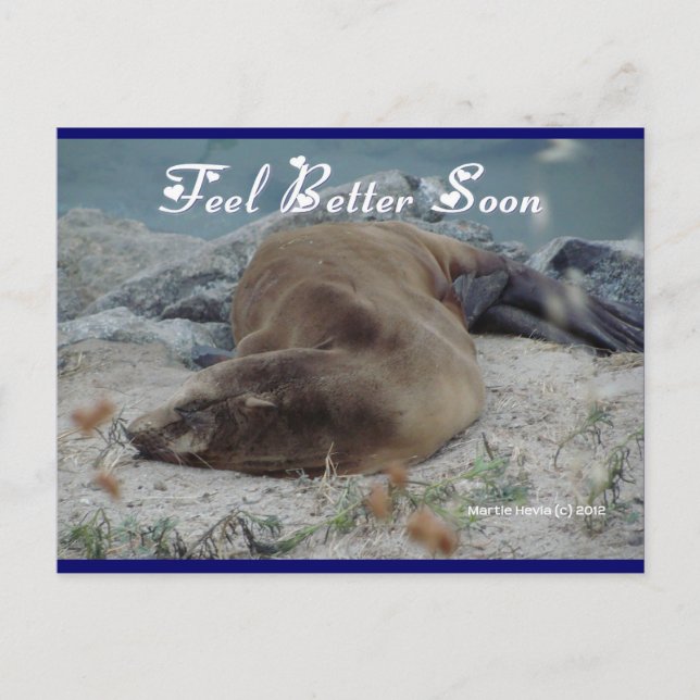 Sea Lion - Feeling Better bald - Postkarte (Vorderseite)