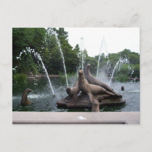 Sea Lion Fountain Postkarte