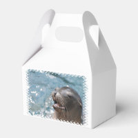Sea Lion