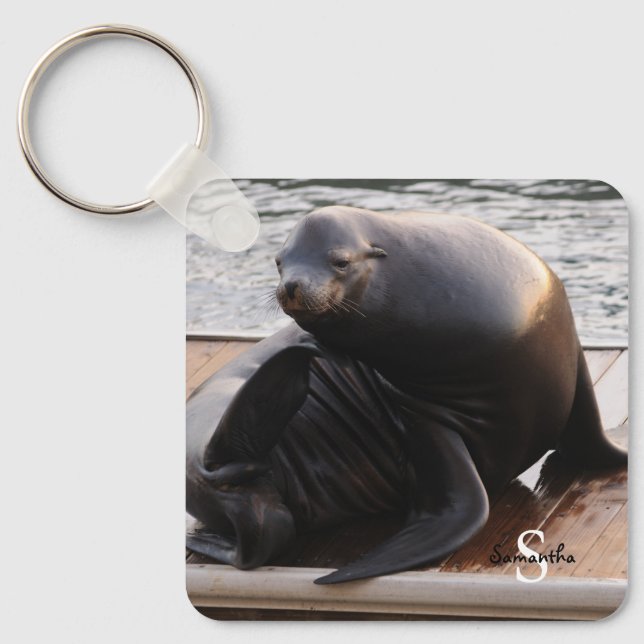 Sea Lion Keyring Schlüsselanhänger (Vorderseite)