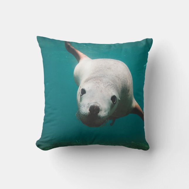 Sea Lion Kissen (Vorderseite)